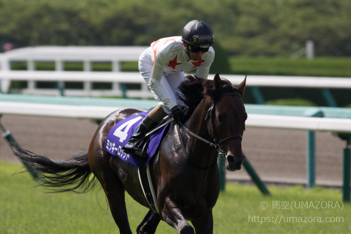 競馬写真】2018年 第59回宝塚記念(GI) ミッキーロケット – 【馬